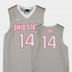 #14 Joey Lane Replica Ohio State College Basketball Youth Gray Jersey 583158-834
