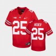 #25 Mike Weber College Football Ohio State Replica Youth Scarlet Jersey 897898-248