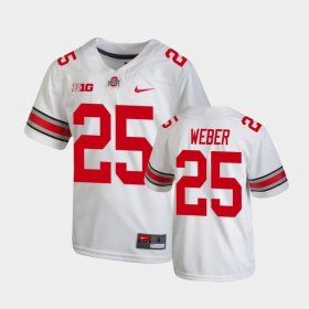 #25 Mike Weber Replica OSU College Football Youth White Jersey 303768-802